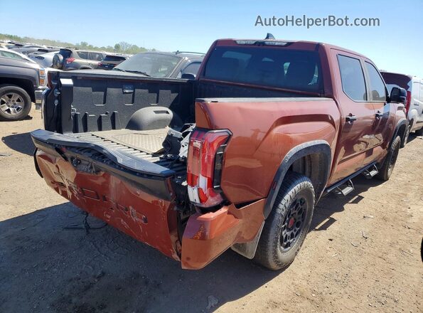 5TFPC5DB1RX057357 2024 TOYOTA TUNDRA Оранжевый Задняя правая четверть