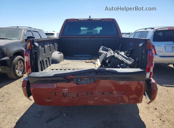 5TFPC5DB1RX057357 2024 TOYOTA TUNDRA Оранжевый Вид сзади