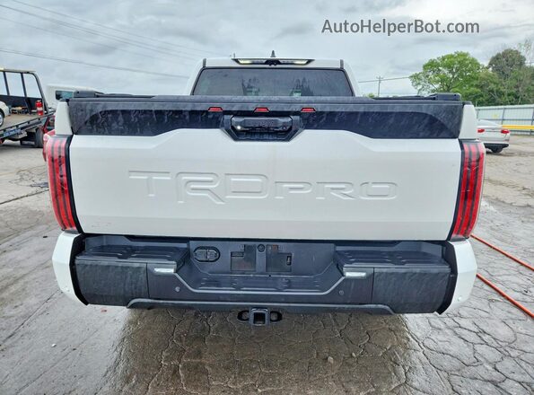 5TFPC5DB6RX060142 2024 TOYOTA TUNDRA Белый Вид сзади