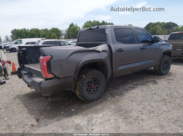 5TFPC5DB8RX043424 2024 TOYOTA TUNDRA HYBRID Gray Rear right