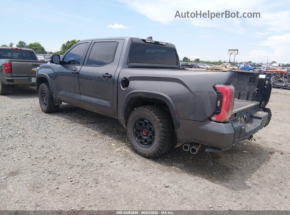 5TFPC5DB8RX043424 2024 TOYOTA TUNDRA HYBRID Gray Rear left