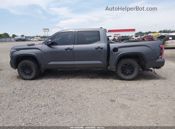 5TFPC5DB8RX043424 2024 TOYOTA TUNDRA HYBRID Gray 360 interior view