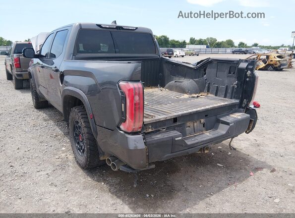 5TFPC5DB8RX043424 2024 TOYOTA TUNDRA HYBRID Gray 