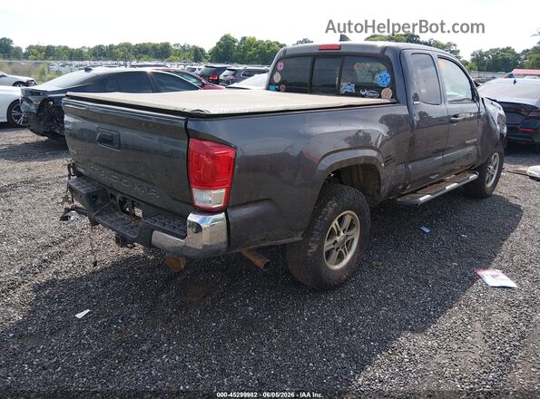 5TFSX5ENXGX040304 2016 TOYOTA TACOMA Gray უკანა მარჯვენა