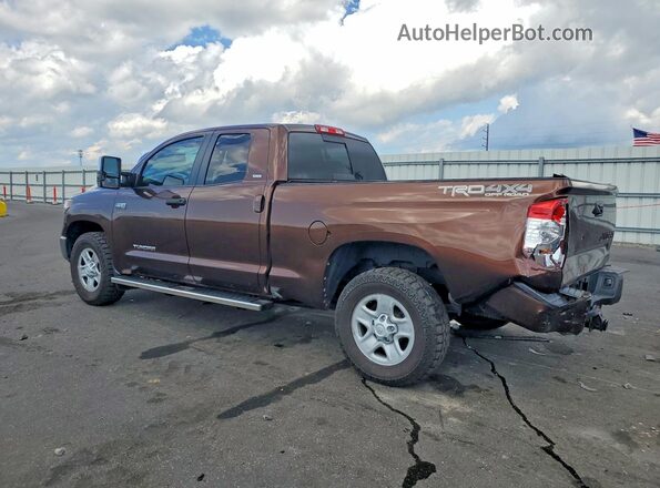 5TFUW5F11GX553254 2016 TOYOTA TUNDRA Brown Tył lewy