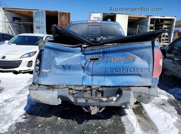 5TFUY5F19HX671077 2017 TOYOTA TUNDRA Blue Rear view