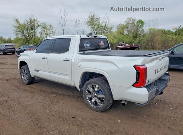 5TFVC5DB6PX014539 2023 TOYOTA TUNDRA White უკანა მარცხენა