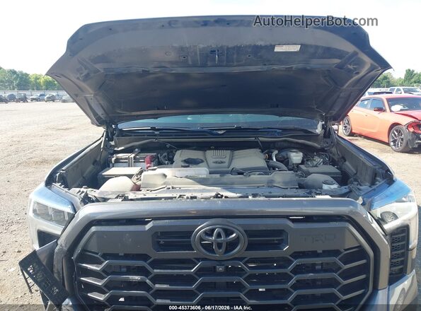 5TFWA5DB0RX228813 2024 TOYOTA TUNDRA Gray Widok z tyłu