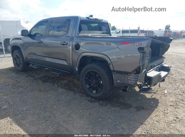 5TFWA5DB0RX228813 2024 TOYOTA TUNDRA Gray Tył lewy