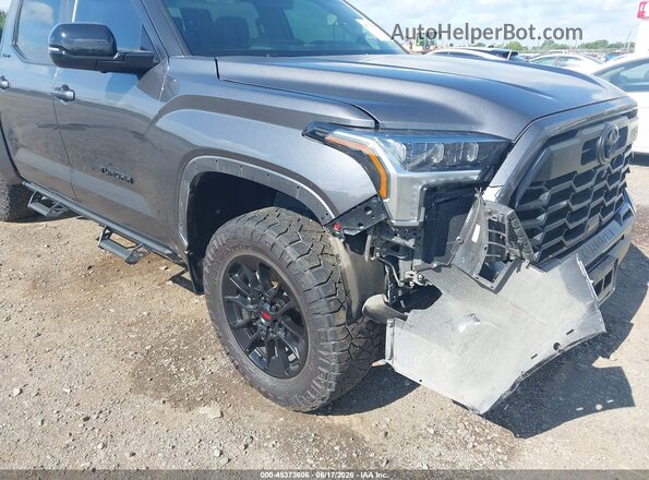 5TFWA5DB0RX228813 2024 TOYOTA TUNDRA Gray 