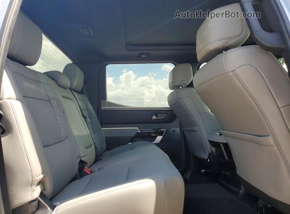 5TFWA5DB0SX310790 2025 TOYOTA TUNDRA Silver 