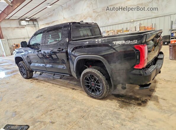 5TFWA5DB0SX323815 2025 TOYOTA TUNDRA Black Tył lewy