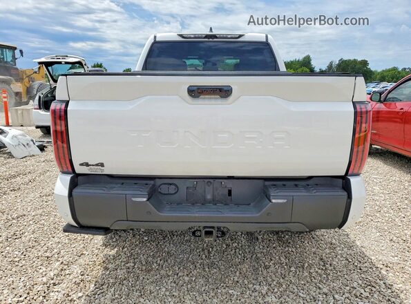 5TFWA5DB1SX294261 2025 TOYOTA TUNDRA White Rear view