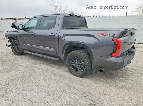 5TFWA5DB2SX247000 2025 TOYOTA TUNDRA Gray Հետևի ձախ
