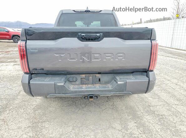 5TFWA5DB2SX247000 2025 TOYOTA TUNDRA Gray Հետևի տեսք