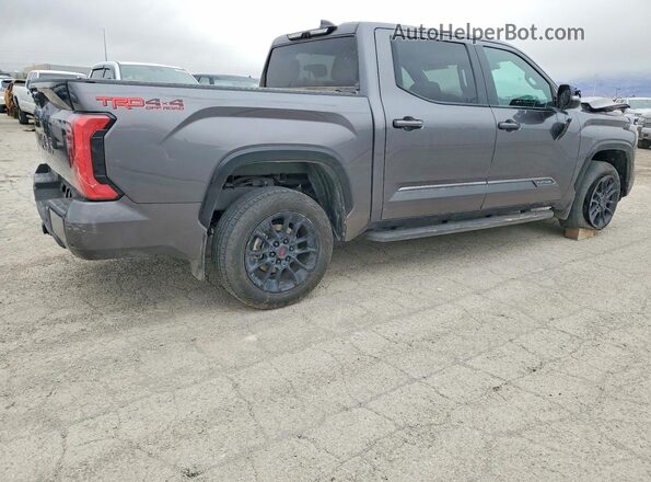 5TFWA5DB2SX247000 2025 TOYOTA TUNDRA Gray Հետևի աջ