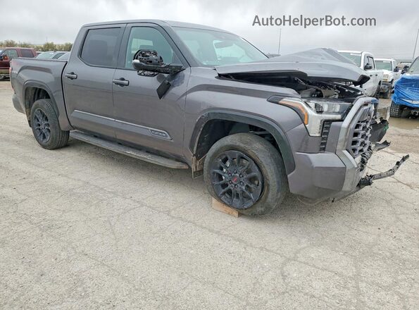 5TFWA5DB2SX247000 2025 TOYOTA TUNDRA Gray Առջևի աջ
