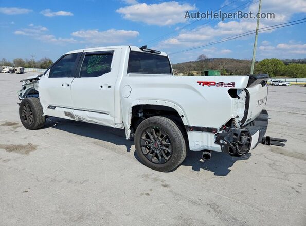 5TFWA5DB3SX288073 2025 TOYOTA TUNDRA White უკანა მარცხენა