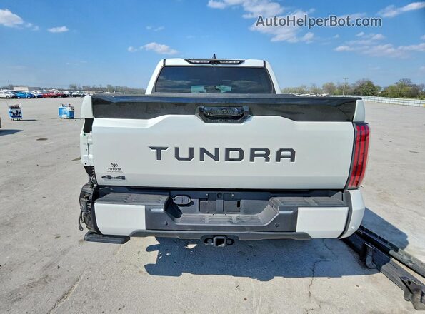 5TFWA5DB3SX288073 2025 TOYOTA TUNDRA White უკანა ხედი
