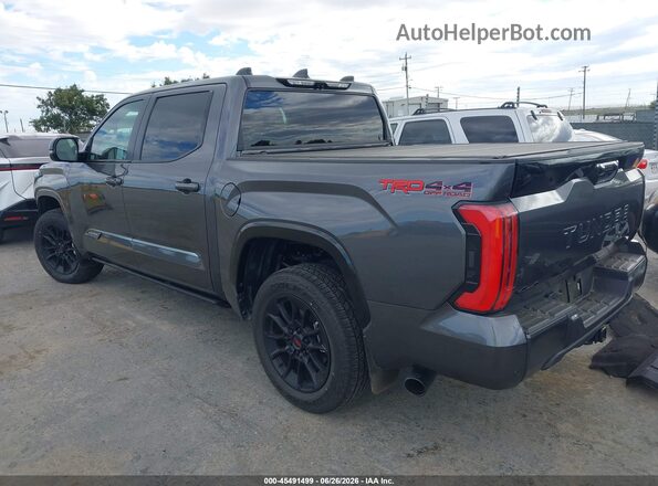 5TFWA5DB3TX378888 2026 TOYOTA TUNDRA Серый Задняя левая четверть