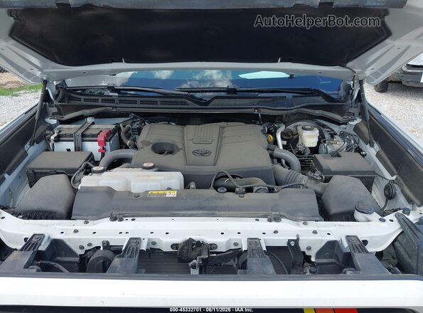 5TFWA5DB6SX281425 2025 TOYOTA TUNDRA Белый Вид сзади