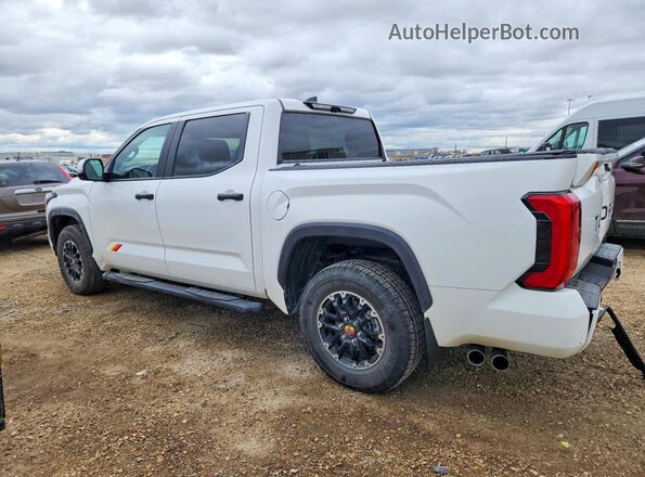 5TFWA5DB7SX253553 2025 TOYOTA TUNDRA White უკანა მარცხენა