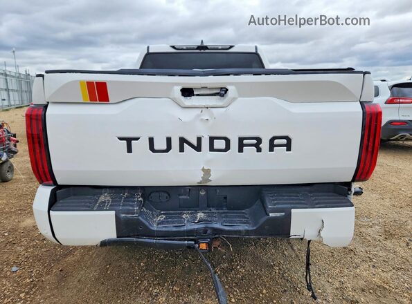 5TFWA5DB7SX253553 2025 TOYOTA TUNDRA White უკანა ხედი