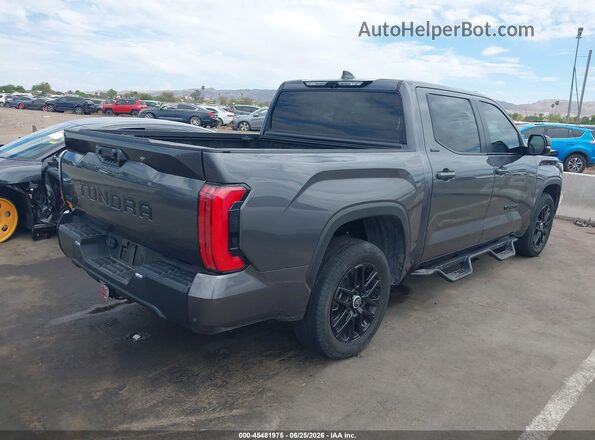 5TFWA5DB8RX225142 2024 TOYOTA TUNDRA Gray Հետևի աջ