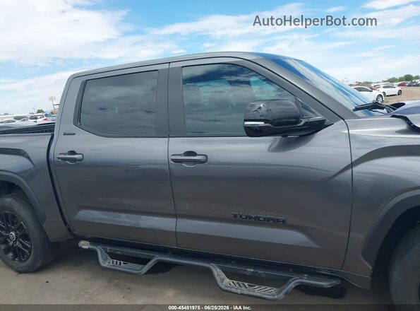 5TFWA5DB8RX225142 2024 TOYOTA TUNDRA Gray Սալոնի հետևի տեսք