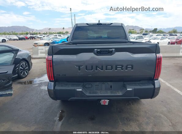 5TFWA5DB8RX225142 2024 TOYOTA TUNDRA Gray 