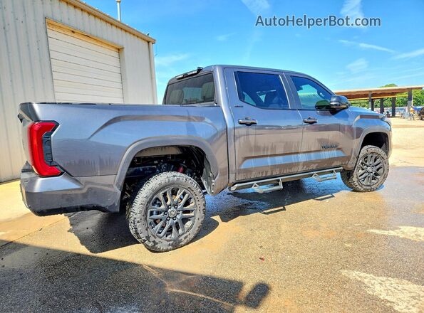 5TFWA5DB8SX320113 2025 TOYOTA TUNDRA Серый Задняя правая четверть
