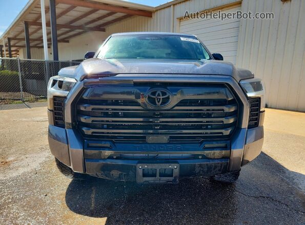 5TFWA5DB8SX320113 2025 TOYOTA TUNDRA Серый Вид спереди