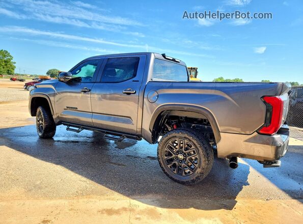 5TFWA5DB8SX320113 2025 TOYOTA TUNDRA Серый Задняя левая четверть