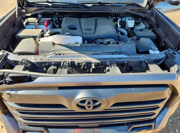 5TFWA5DB8SX320113 2025 TOYOTA TUNDRA Серый Вид задней части салона