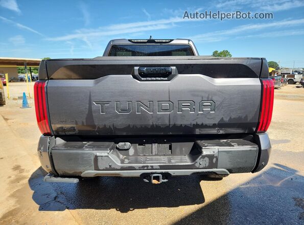 5TFWA5DB8SX320113 2025 TOYOTA TUNDRA Серый Вид наклейки с VIN-кодом