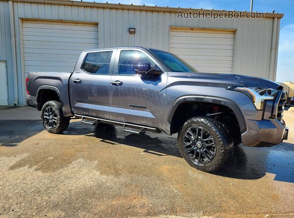 5TFWA5DB8SX320113 2025 TOYOTA TUNDRA Серый Передняя правая четверть