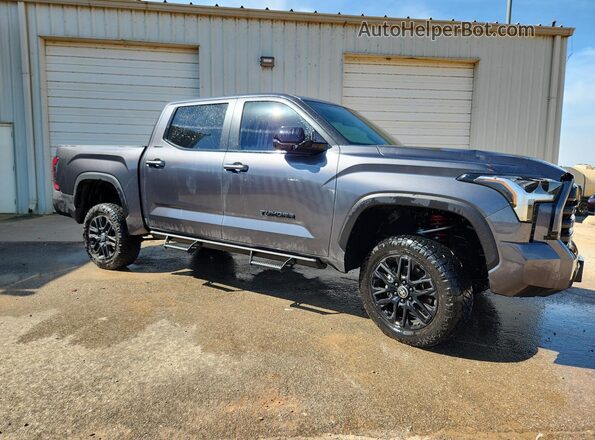 5TFWA5DB8SX320113 2025 TOYOTA TUNDRA Серый 