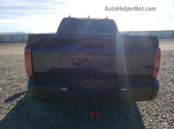 5TFWA5DBXSX275062 2025 TOYOTA TUNDRA Синий Вид сзади