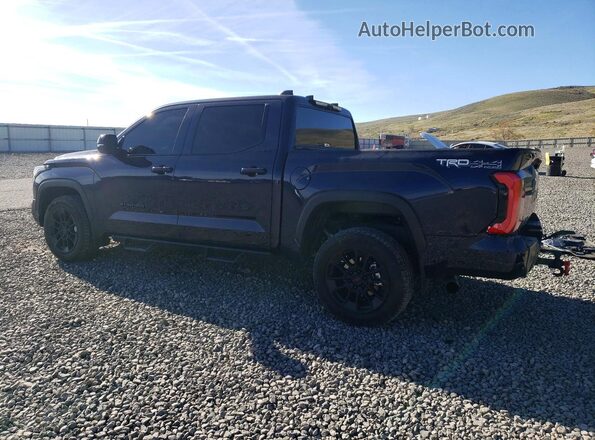 5TFWA5DBXSX275062 2025 TOYOTA TUNDRA Синий Задняя левая четверть