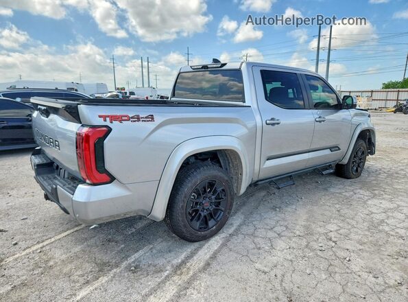 5TFWC5DB3RX074558 2024 TOYOTA TUNDRA Silver უკანა მარჯვენა