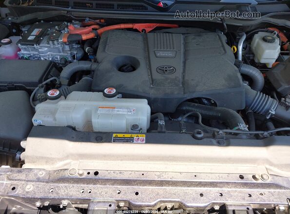 5TFWC5DB7RX071856 2024 TOYOTA TUNDRA HYBRID Синий Вид сзади