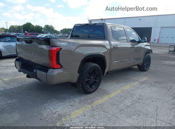 5TFWC5DB7TX126555 2026 TOYOTA TUNDRA HYBRID Brown 