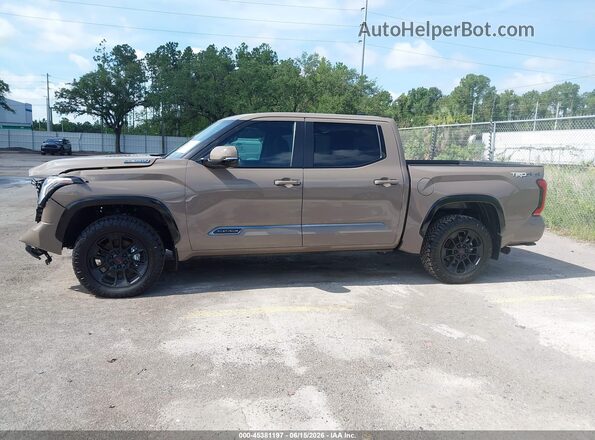 5TFWC5DB7TX126555 2026 TOYOTA TUNDRA HYBRID Brown 