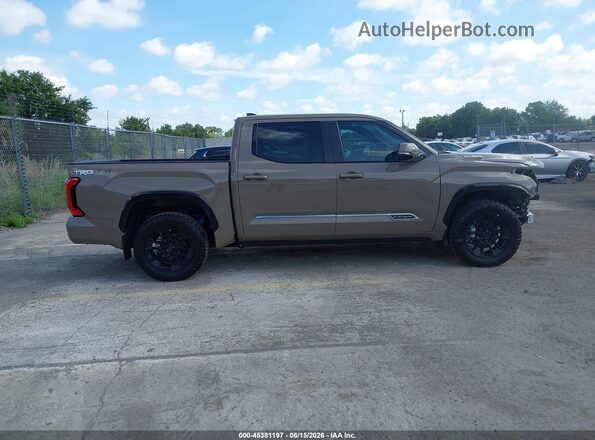 5TFWC5DB7TX126555 2026 TOYOTA TUNDRA HYBRID Brown 