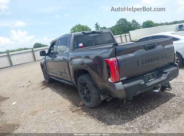 5TFZA5AB1SX048134 2025 TOYOTA TUNDRA Gray უკანა მარცხენა