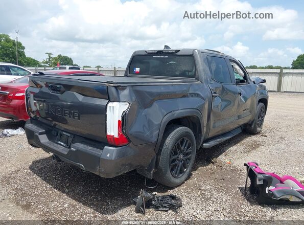 5TFZA5AB1SX048134 2025 TOYOTA TUNDRA Gray უკანა მარჯვენა