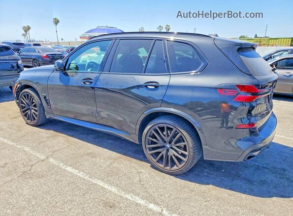 5UX13EU02S9Z46035 2025 BMW X5 Black Rear left