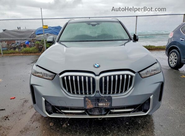 5UX23EU02R9S99425 2024 BMW X5 Gray Front view