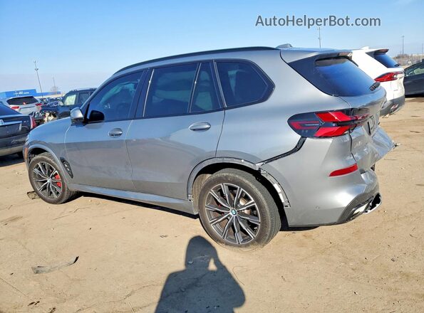 5UX23EU04R9V24671 2024 BMW X5 Silver Задня ліва чверть