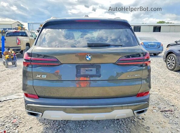 5UX23EU05S9W72060 2025 BMW X5 Зеленый Вид сзади